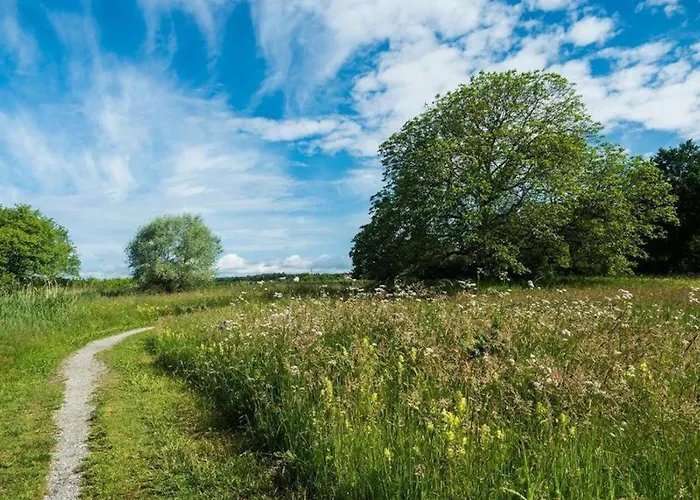 Haus Schussenblick Og Lejlighed
